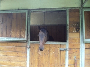 Warsage 012