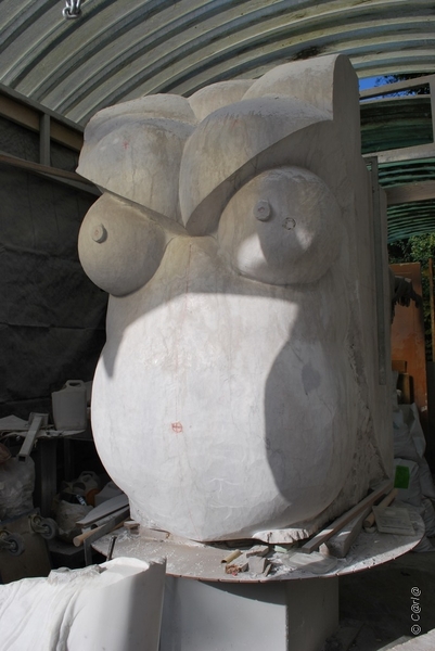 2010-10-16 Land VT Vosselaar (101)