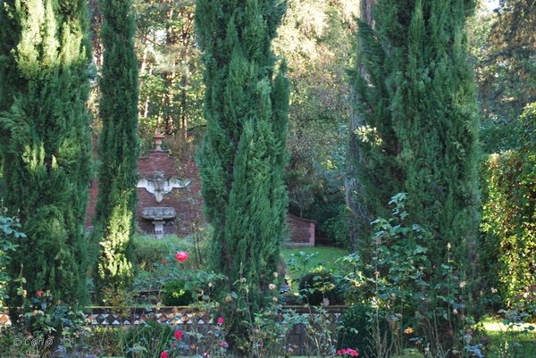 2010-10-16 Land VT Vosselaar (41)