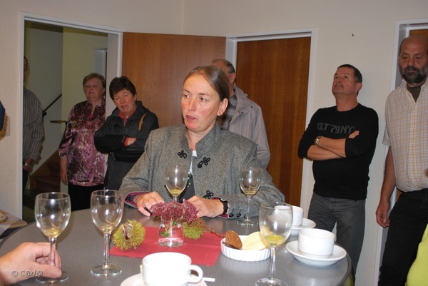 2010-10-16 Land VT Vosselaar (5)