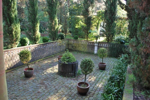 2010-10-16 Land VT Vosselaar (50)