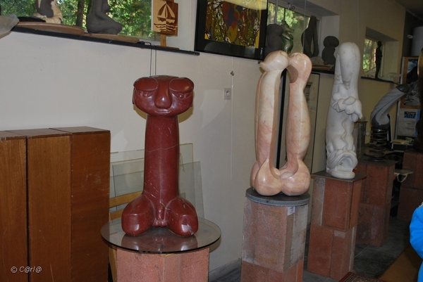 2010-10-16 Land VT Vosselaar (60)