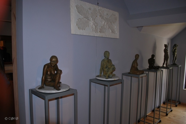 2010-10-16 Land VT Vosselaar (71)