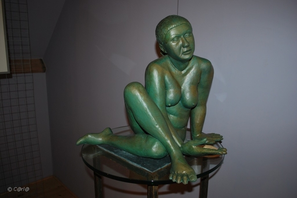 2010-10-16 Land VT Vosselaar (79)