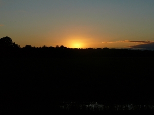 flakt2010 027