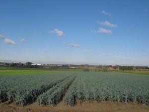 Fietsen West Uit Oeselgem 2010 047