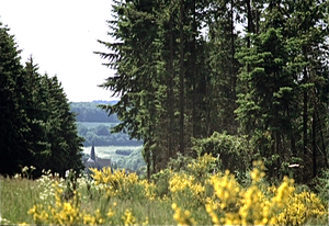 Eifel (Rijnland Pfaltz)