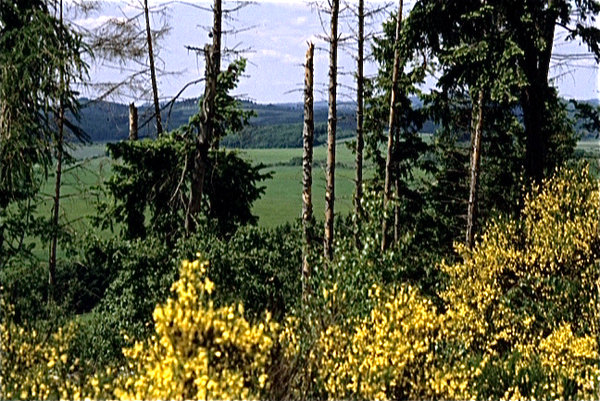 Eifel (Rijnland Pfaltz)