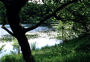 Eifel (Rijnland Pfaltz)