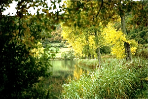Eifel (Rijnland Pfaltz)