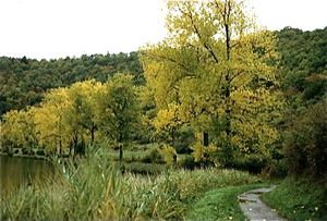 Eifel (Rijnland Pfaltz)