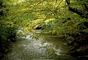 Eifel (Rijnland Pfaltz)