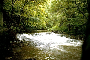 Eifel (Rijnland Pfaltz)