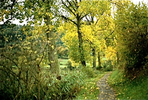 Eifel (Rijnland Pfaltz)