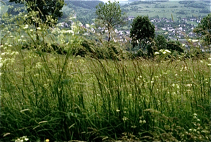 Eifel (Rijnland Pfaltz)