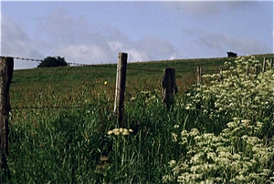 Eifel (Rijnland Pfaltz)