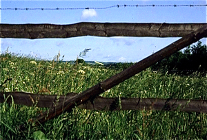 Eifel (Rijnland Pfaltz)