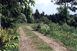 Eifel (Rijnland Pfaltz)