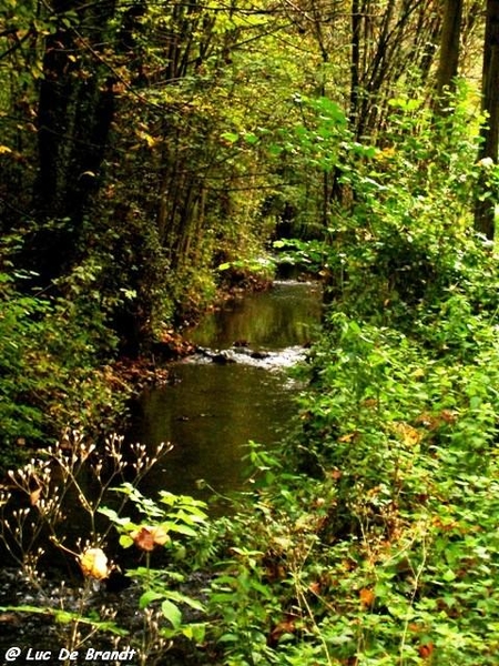 Ardennen wandeling Adeps Thy-le-Chteau