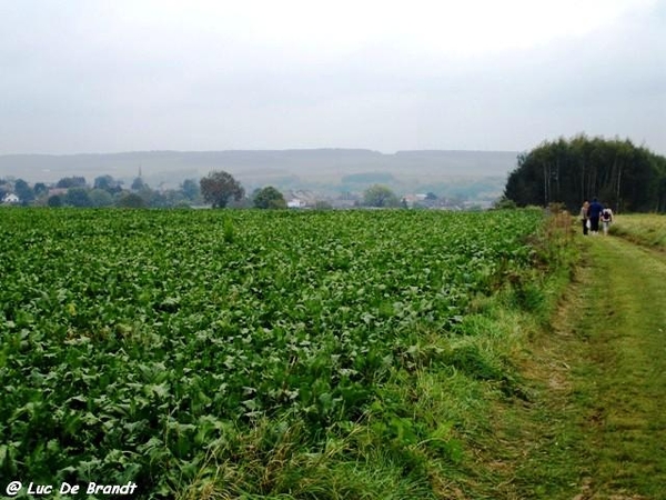 2010_10_17 Thy-le-Chateau 26