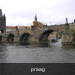 praag 133