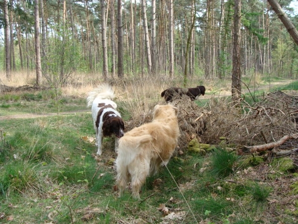 Bas, Belle& Timo