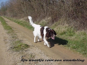 fijn weertje voor een wandeling