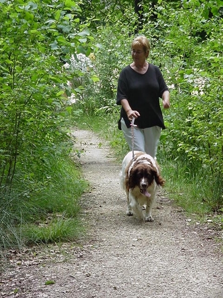 Giels Bos Bas & Simonne