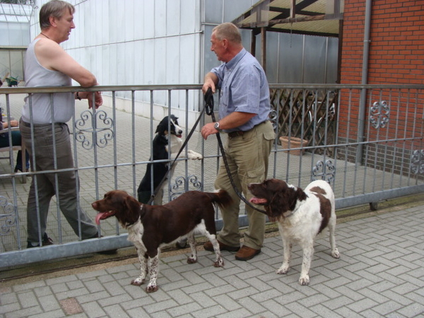 met bedelende Gipsy