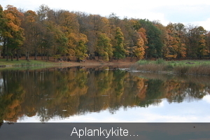 Atspindiai tvenkinyje