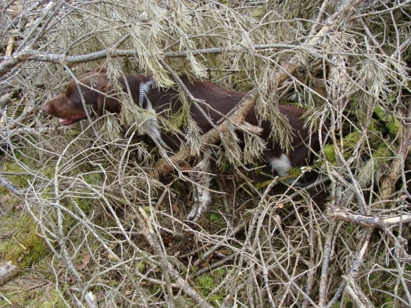DSC00077