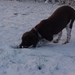 fles gevonden onder sneeuw