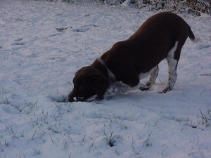 fles gevonden onder sneeuw