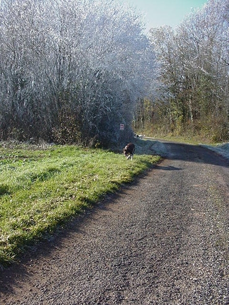 winterwandeling 2