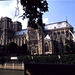 Notre Dame