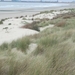 de duinen