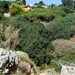 077 Albufeira  wandeling naar rotskusten