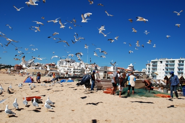 221 vissersdorp Armaçào de Pêra