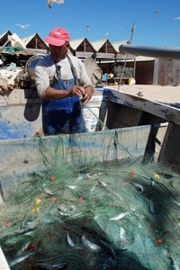 223 vissersdorp Armaçào de Pêra