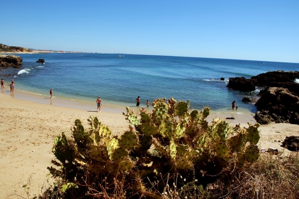 325 Albufeira  wandeling op strand en rotskust