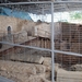 446 Tavira  opgravingen Corto Real