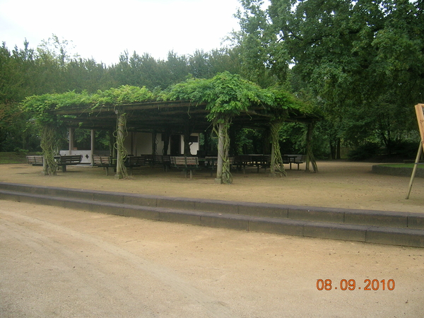 DSCN4107