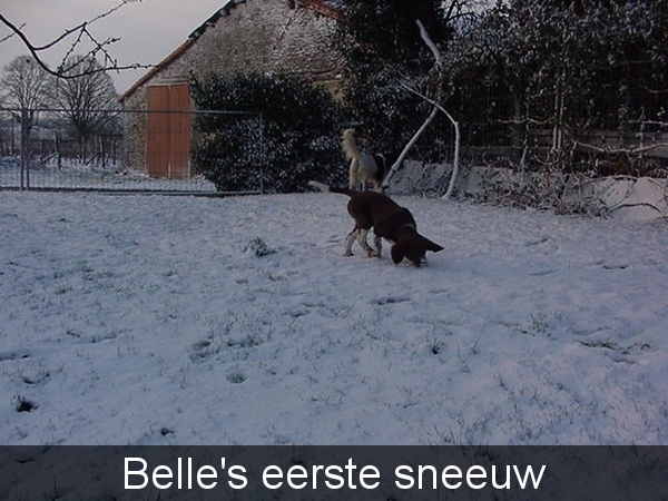 05.03.06 sneeuw!