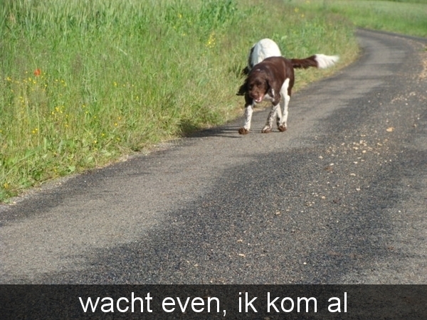 daar komt ze