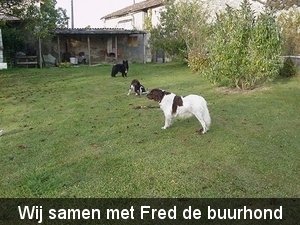 Bas, Belle & Fred