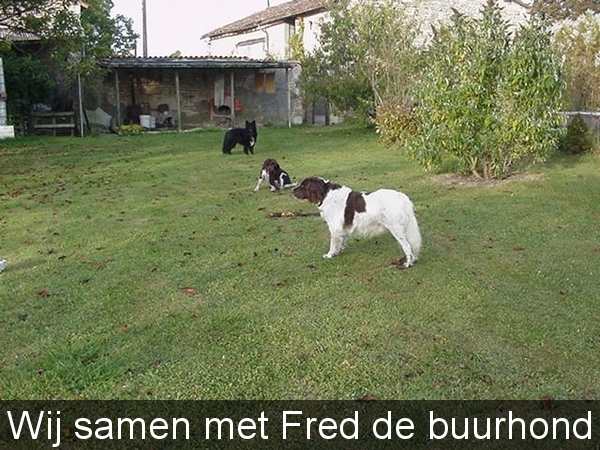 Bas, Belle & Fred