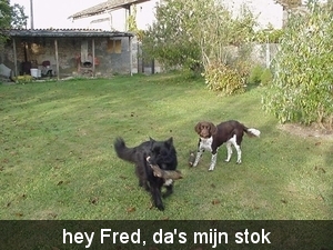 Belle & Fred