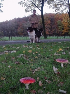 herfstwandeling