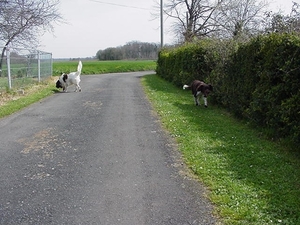 vertrek wandeling