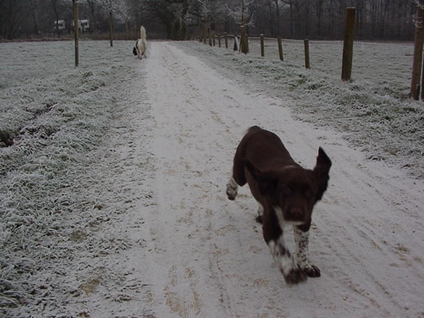 zonder sneeuwkettingen